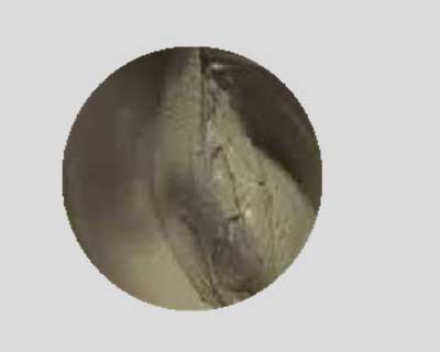 Heat Stop Refractory Mortar Can Save Energy